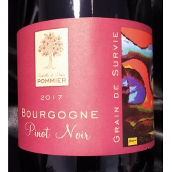 BOURGOGNE PINOT NOIR "GRAIN DE SURVIE"