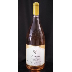 MAGNUM BOURGOGNE CÔTE SAINT-JACQUES PINOT GRIS