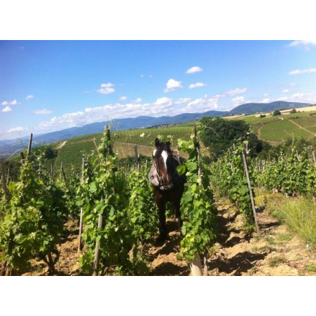 ATELIER DEGUSTATION VALLEE DU RHONE 9-04-22