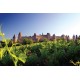 ATELIER DEGUSTATION LANGUEDOC 25/03/2023