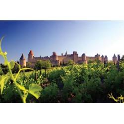ATELIER DEGUSTATION LANGUEDOC 25/03/2023