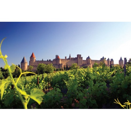 ATELIER DEGUSTATION LANGUEDOC 25/03/2023