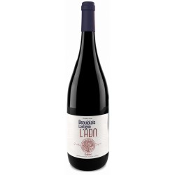 BEAUJOLAIS LANTIGNE ADN DU CHAPITAL